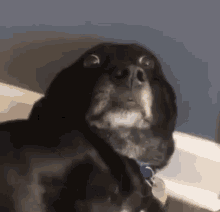 什么是降準(降準是財政政策還是貨幣政策)-添財網