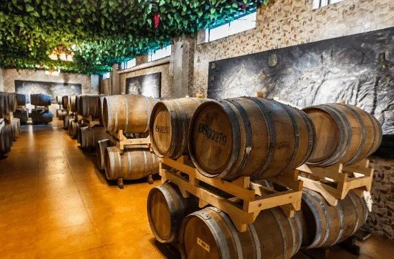 申根是什么意思(什么叫申根)-添財網