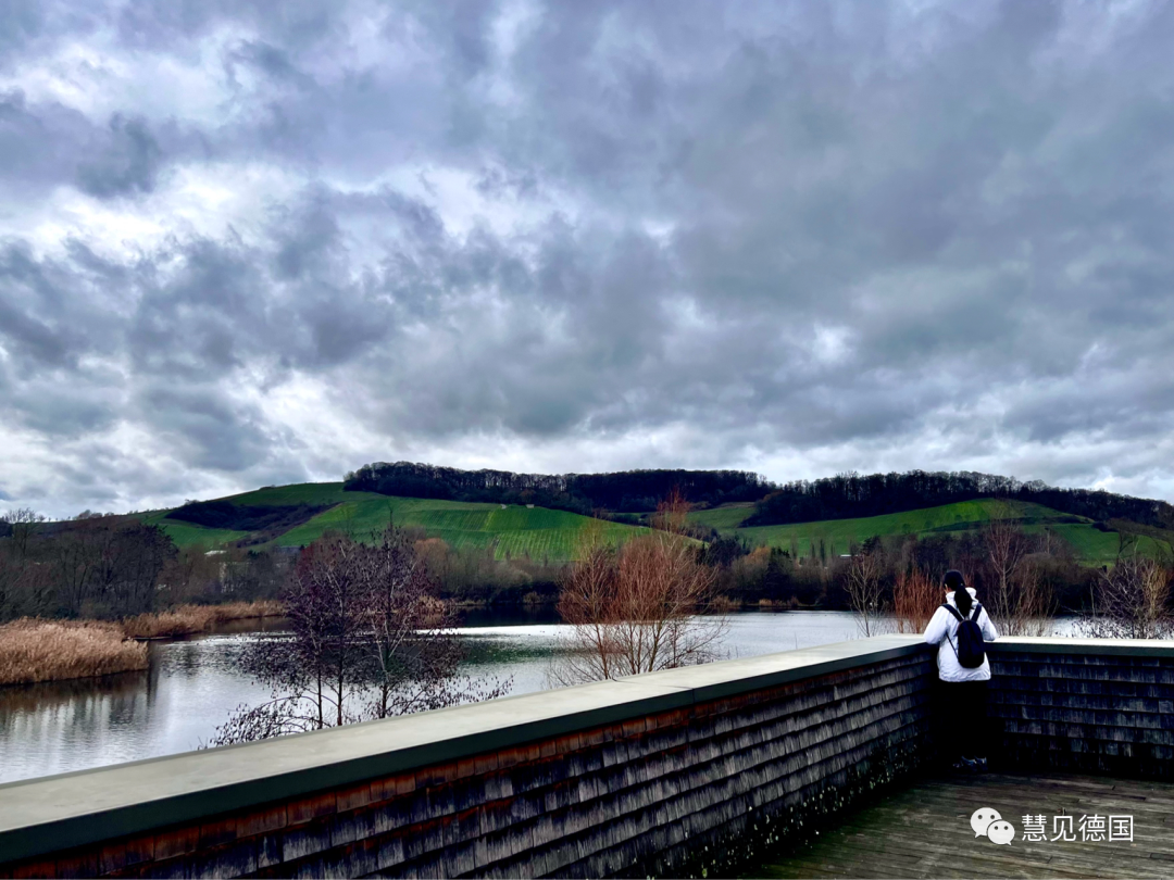 申根是什么意思(什么叫申根)-添財網