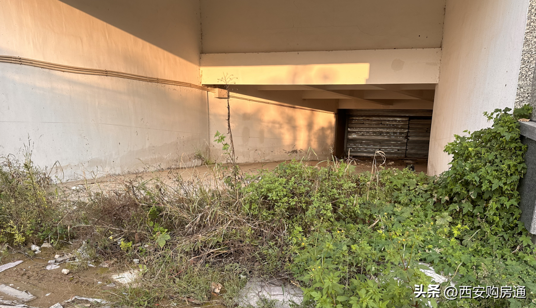 商鋪通(商鋪通下水道多少錢)-添財網