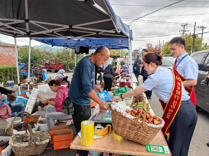 浦發村鎮銀行(浦發村鎮銀行是正規銀行嗎)-添財網