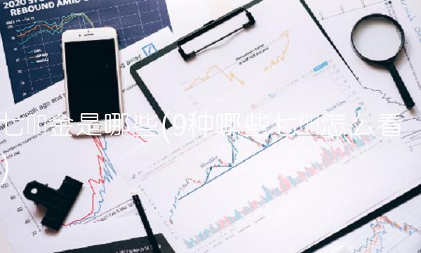 七險二金指什么(七險二金指什么)-添財網