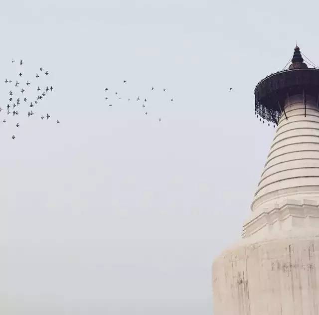 密檐式塔(密檐式寶塔)-添財(cái)網(wǎng)