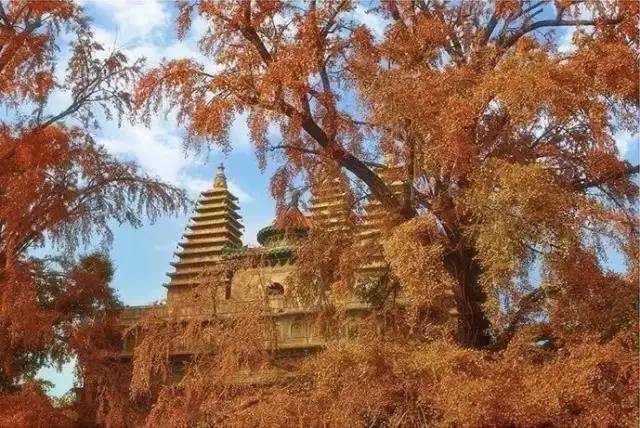 密檐式塔(密檐式寶塔)-添財(cái)網(wǎng)