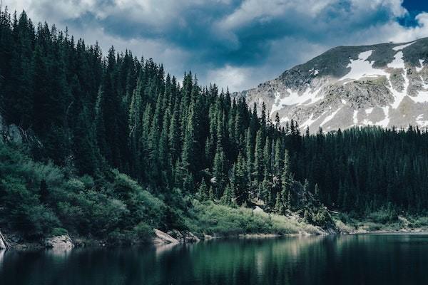 免賠額是什么意思(賠額是什么意思)-添財網