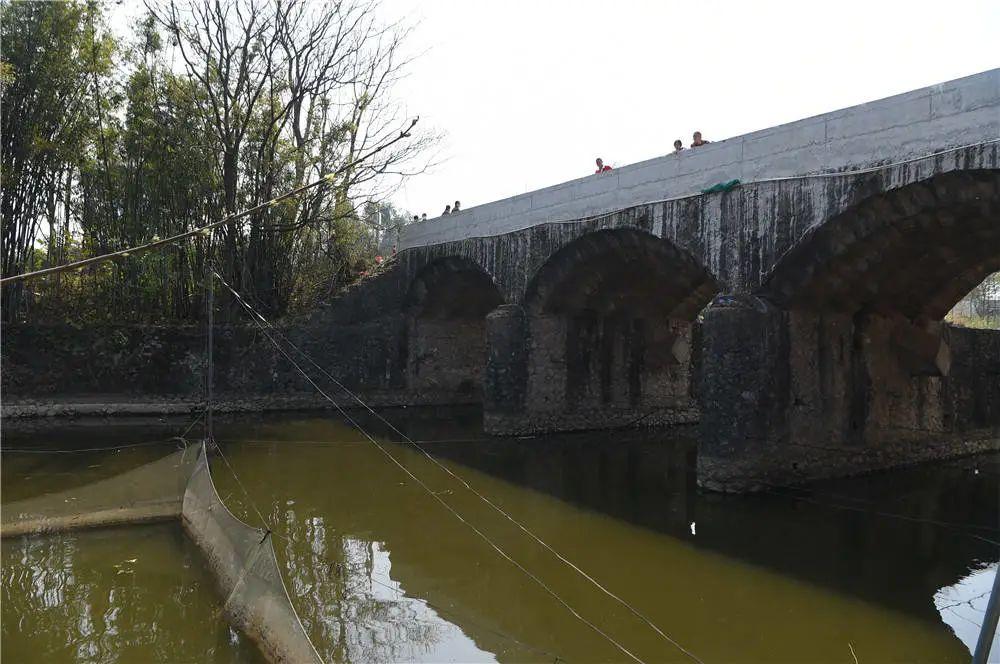 老人河(老人河)-添財網