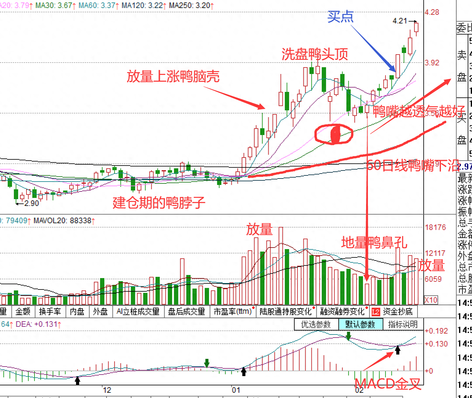 老鴨頭形態(tài)(老鴨頭形式)-添財網
