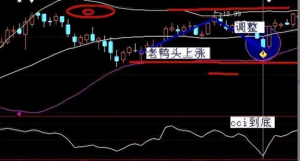 老鴨頭形態(tài)(老鴨頭形式)-添財網