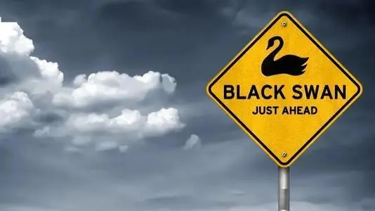黑天鵝效應是什么意思(黑天鵝效應和蝴蝶效應)-添財網