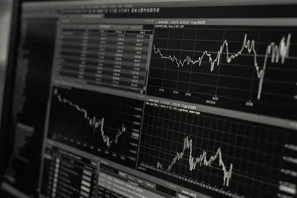 黑天鵝效應(yīng)是什么意思(黑天鵝效應(yīng)什么意思)-添財(cái)網(wǎng)