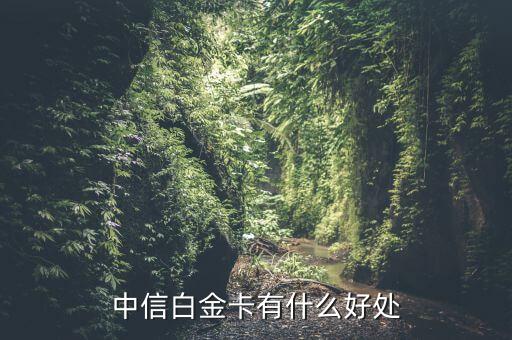 國航知音卡(國航知音卡升級攻略)-添財網
