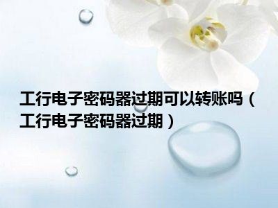 工銀電子密碼器(工銀電子密碼器密碼忘了怎么辦)-添財網