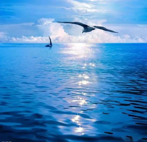 放心借客服電話(放心借人工客服打不通)-添財網