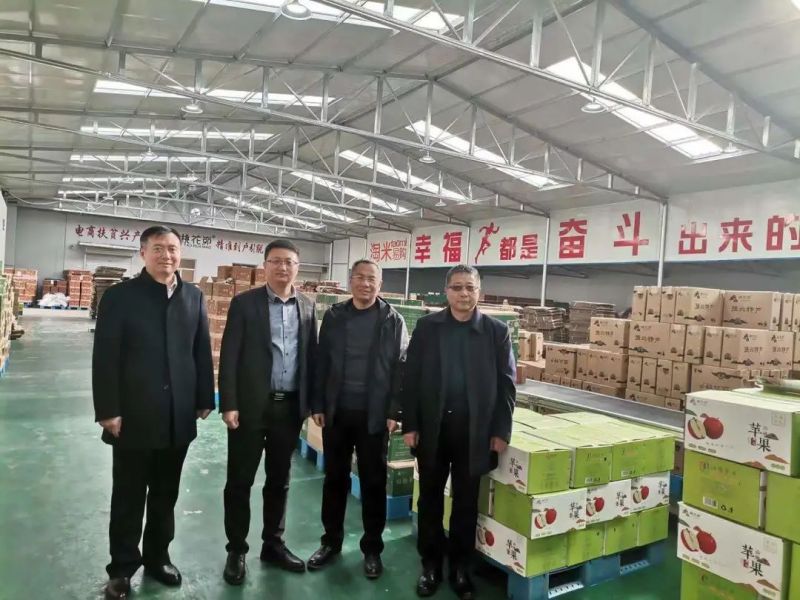 倒貸(倒貸是否犯法)-添財網