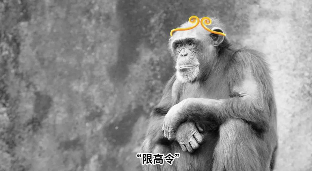 大安大廈(大安商務(wù)大廈)-添財(cái)網(wǎng)