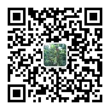 汽車銀行抵押融資怎么融(抵押車融資什么意思)-添財網