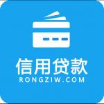 正規車輛抵押融資(抵押車融資什么意思)-添財網