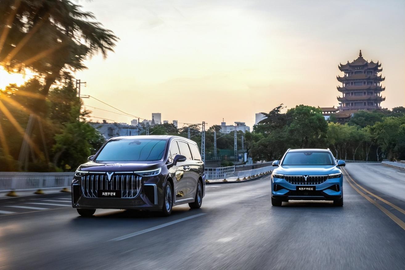 有車融資(融資車有哪些品牌)-添財網(wǎng)