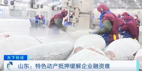 汽車抵押貸款平臺(抵押貸款汽車平臺有哪些)-添財網