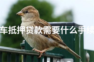 綠本可以抵押貸款嗎(抵押貸款綠本可以補辦嗎)-添財網(wǎng)