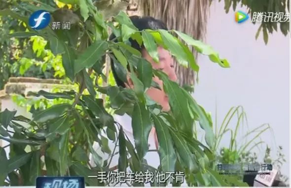 有車就能貸款(有貸款辦車貸能通過嗎)-添財網