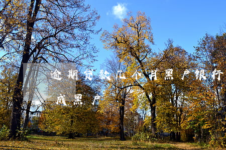 黑戶在銀行可以貸款嗎(銀行黑戶能按揭貸款買房嗎)-添財網