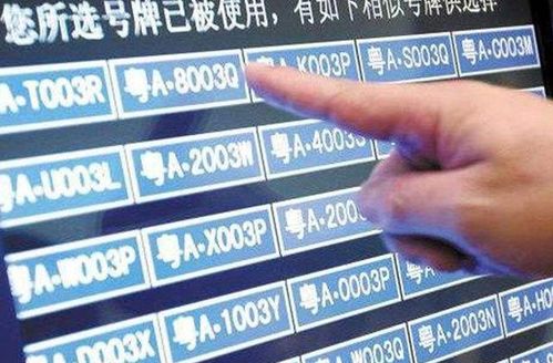 上海車牌貸款怎樣申請(上海車牌貸款申請流程)-添財網