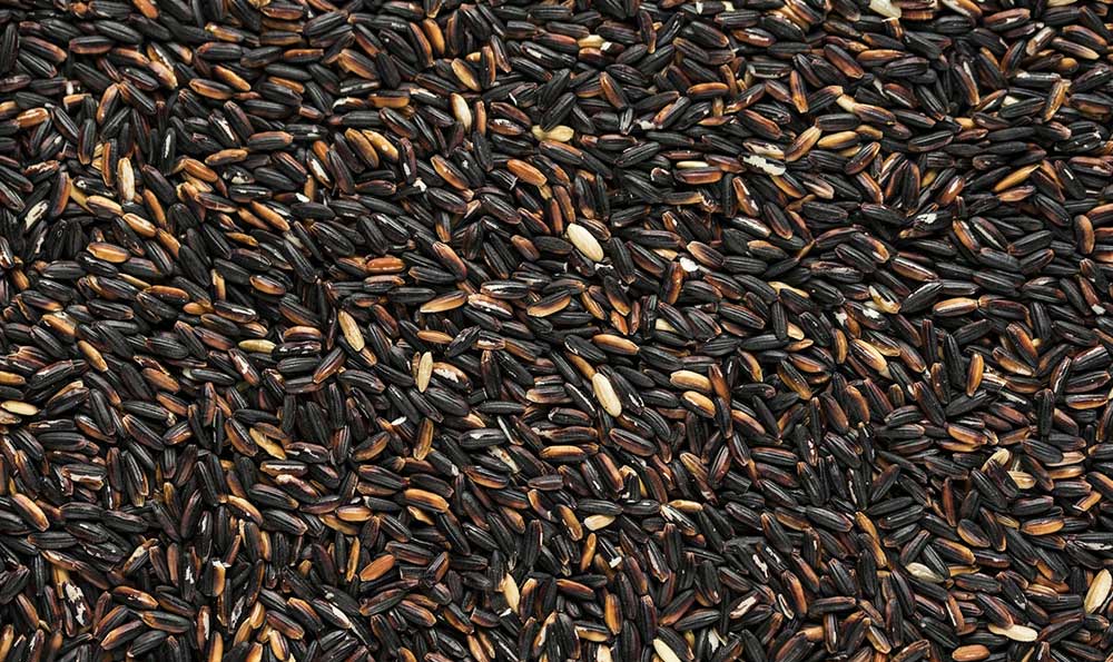 現(xiàn)在哪里有汽車抵押(抵押汽車現(xiàn)在有什么政策)-添財網(wǎng)