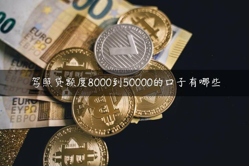 用駕照怎么貸款(拿去用駕駛證貸)-添財(cái)網(wǎng)