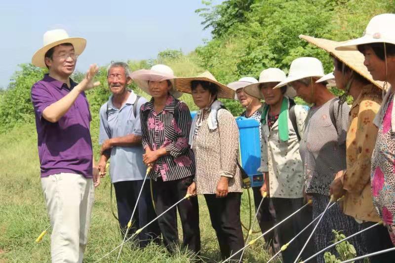 泰安汽車抵押貸款(抵押泰安貸款汽車怎么貸)-添財網