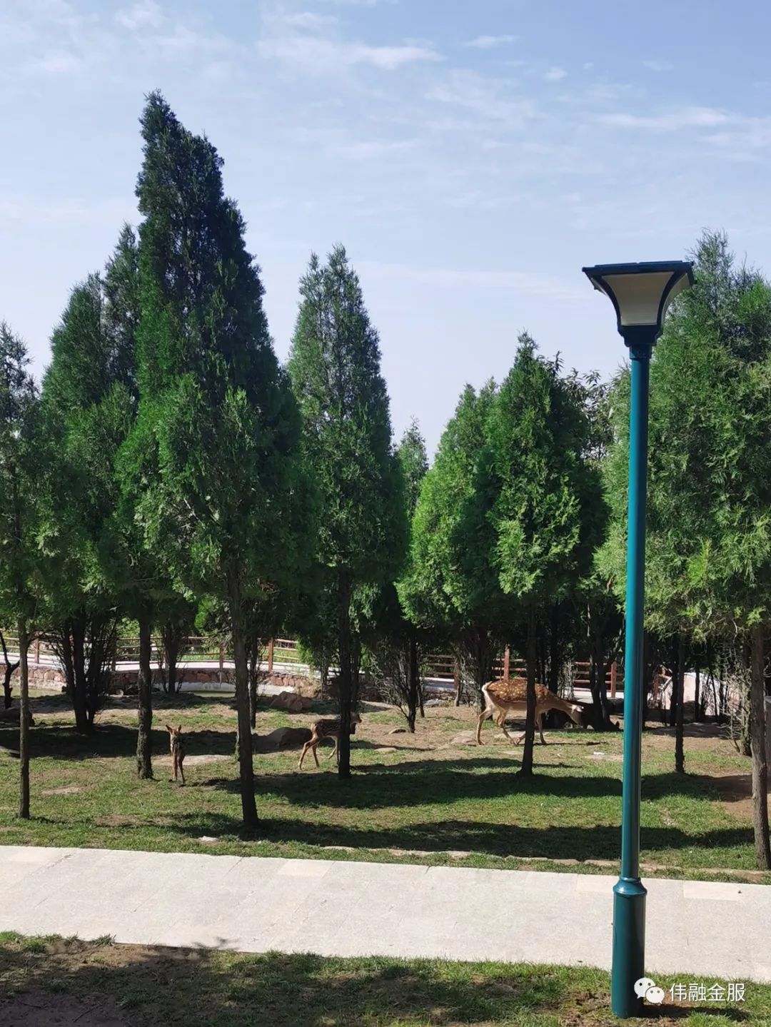 鄭州車輛抵押貸款公司(鄭州車抵貸正規(guī)的公司)-添財(cái)網(wǎng)