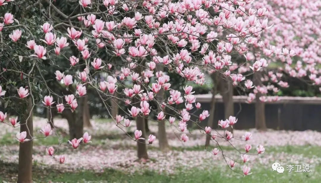 鄭州車輛抵押貸款公司(鄭州車輛抵押借款)-添財網
