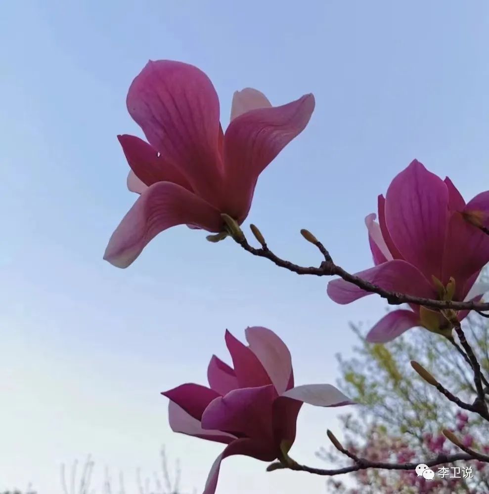 鄭州車輛抵押貸款公司(鄭州車輛抵押借款)-添財網