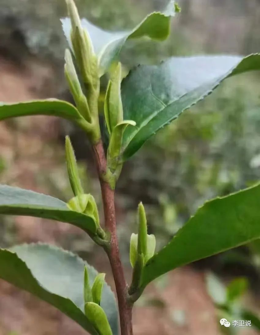 鄭州車輛抵押貸款公司(鄭州車輛抵押借款)-添財網