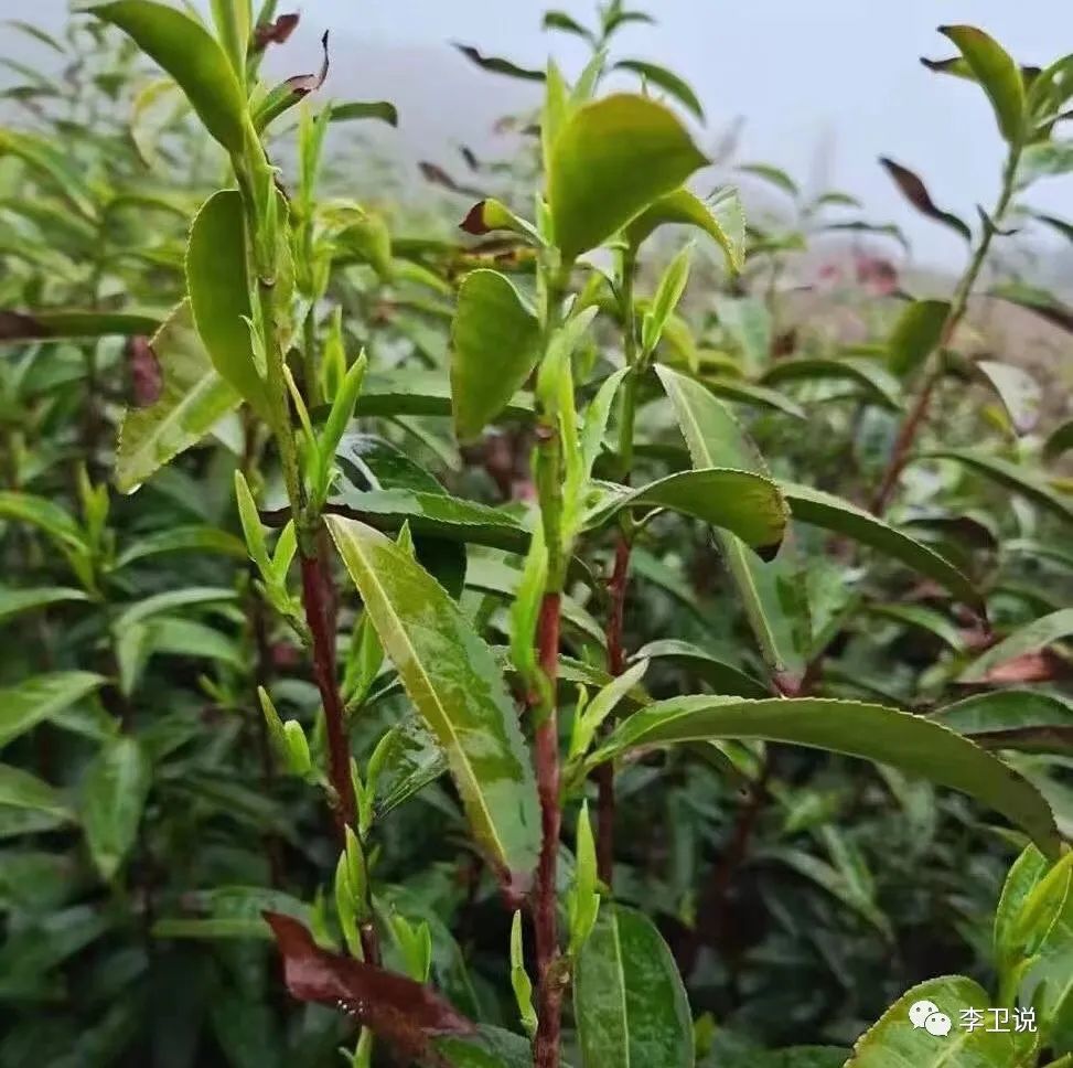 鄭州車輛抵押貸款公司(鄭州車輛抵押借款)-添財網