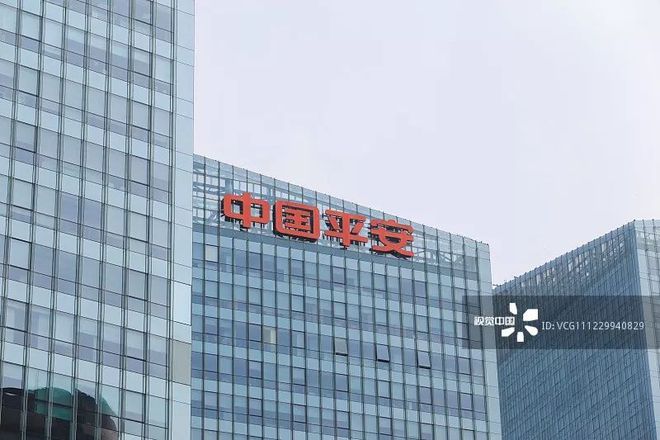 深圳平安普惠小額貸款有限公司(深圳市平安普惠小額貸款)-添財網