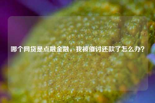 點融貸款公司合法嗎(融資貸款犯法嗎)-添財網