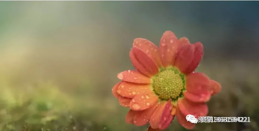 貸款公司可靠嗎(可信的貸款公司)-添財網(wǎng)