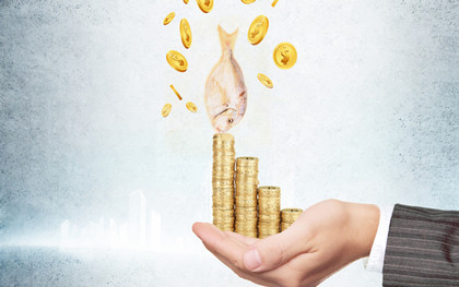 小額貸款公司利息多少(小額借貸公司利息)-添財網