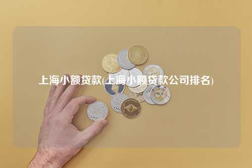 西安小額貸款公司排名(西安小額貸款公司聯(lián)系方式)-添財網(wǎng)