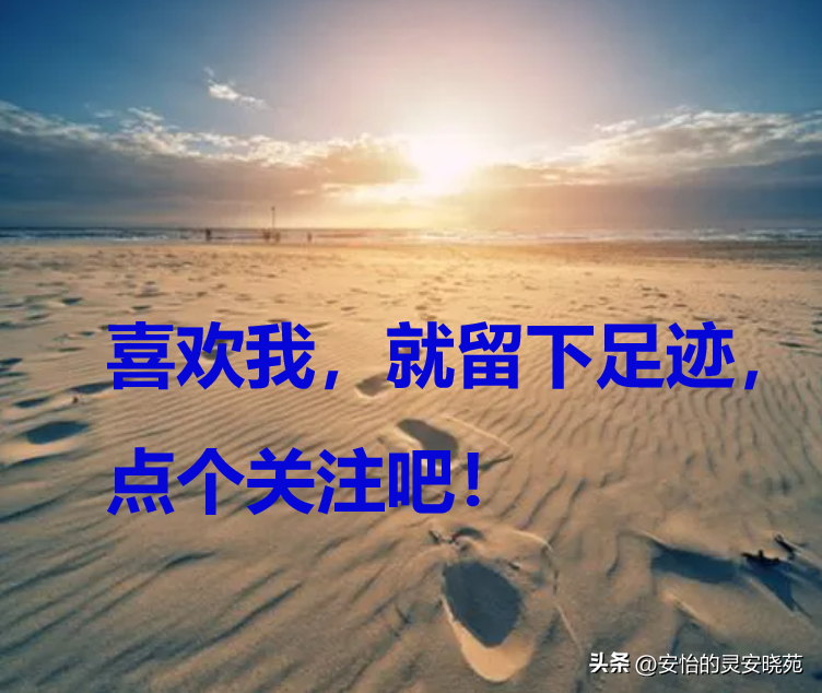 有公司貸款(貸款公司有什么套路)-添財網(wǎng)