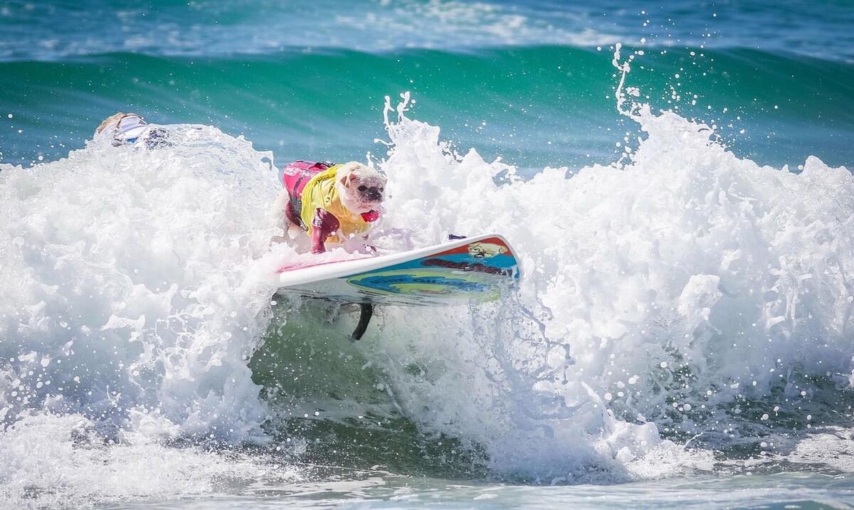 貸款公司是什么(貸款公司是怎么查到自己信息的)-添財(cái)網(wǎng)