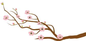 怎么在保險公司貸款(貸款保險公司代償有什么后果)-添財網