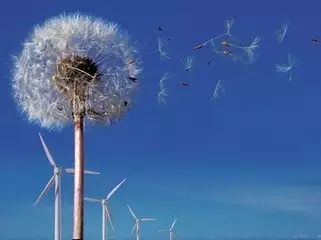 怎么在保險公司貸款(貸款保險公司代償有什么后果)-添財網