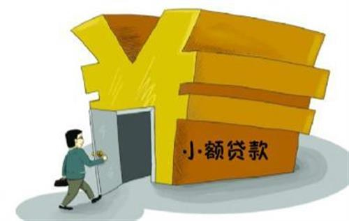 小額貸款公司放款(小額貸款公司放貸合法嗎)-添財(cái)網(wǎng)