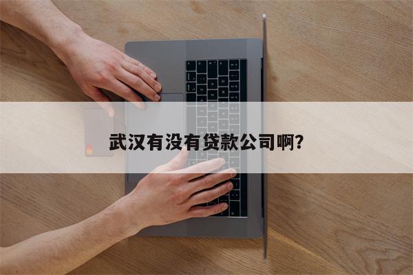 武漢正規貸款公司(正規貸款武漢公司有哪些)-添財網