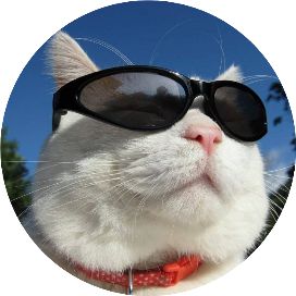 公司向個(gè)人貸款利息(利息貸款個(gè)人公司要交稅嗎)-添財(cái)網(wǎng)