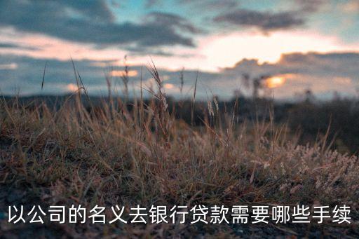 投資公司在銀行貸款(貸款銀行投資公司是什么)-添財網