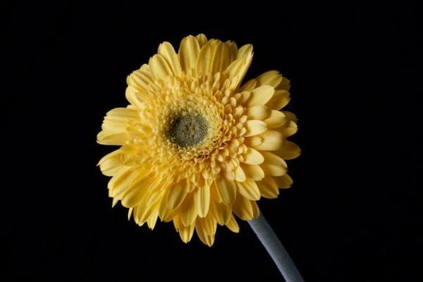 保險(xiǎn)公司抵押貸款(抵押貸款保險(xiǎn)公司能查到嗎)-添財(cái)網(wǎng)