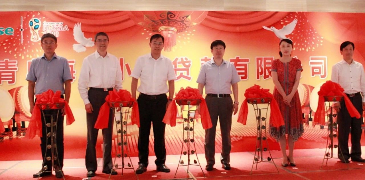 小額貸款公司把(小額貸款公司放款條件)-添財網